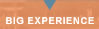 BIG Experience